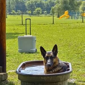 Meet your Posher, Mark